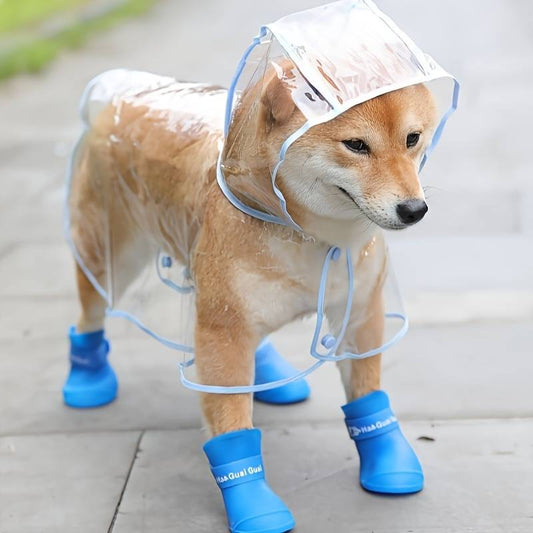 Transparent Dog Raincoat