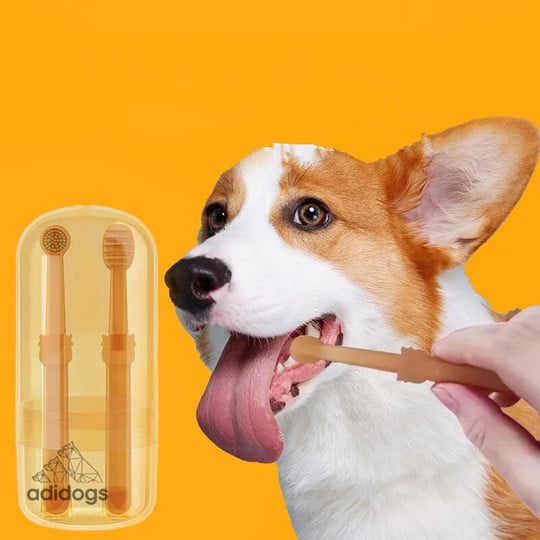 Pet Toothbrush with Tongue Scraper