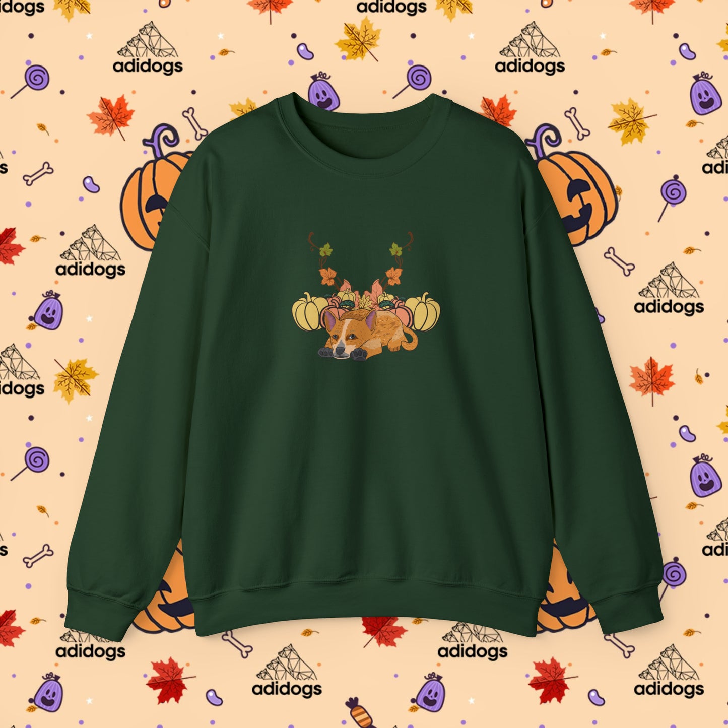 Blue Heeler Pumpkin Fall Sweatshirts