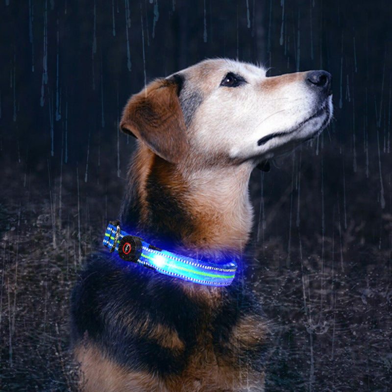 Waterproof Magnetic Charging Pet Collar