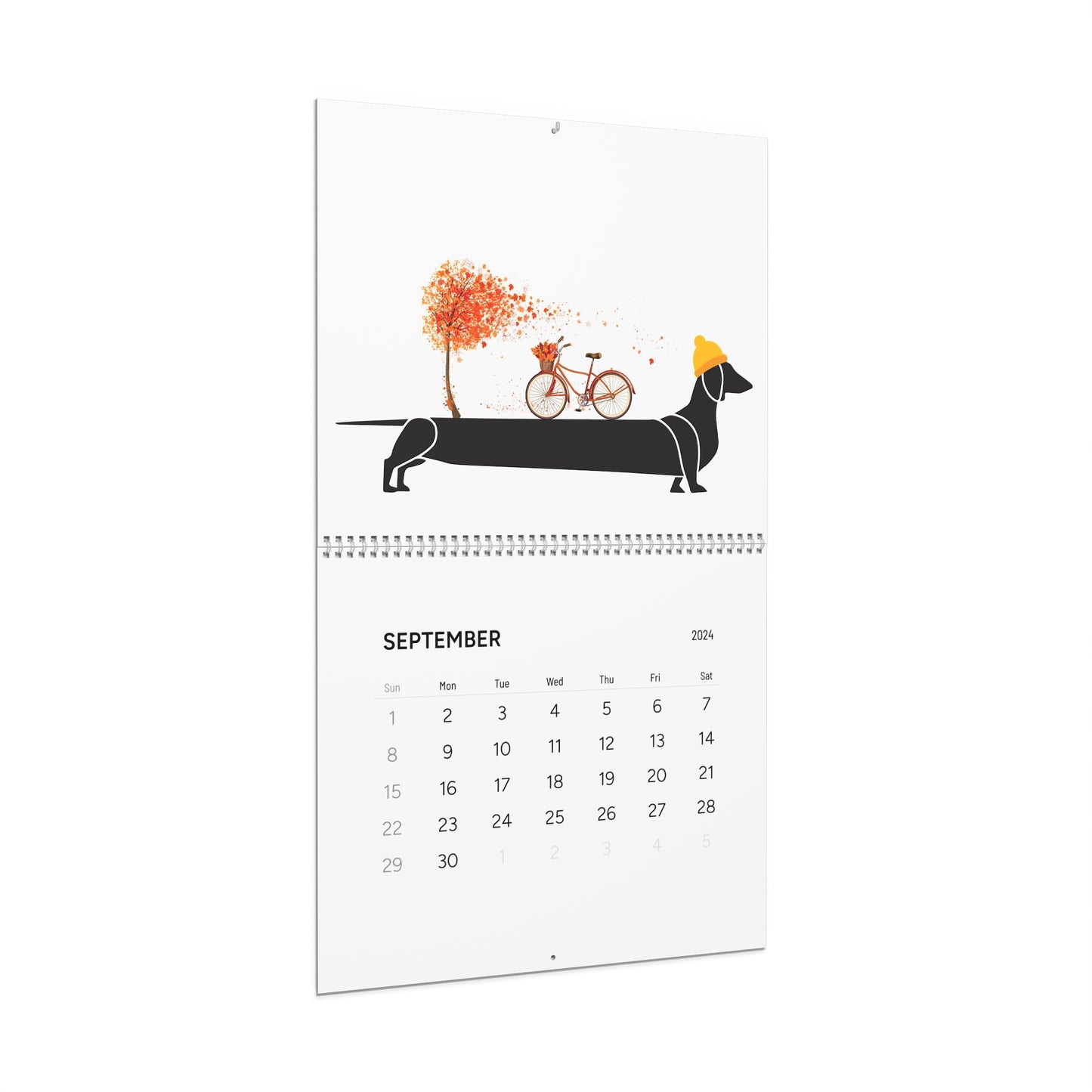 Dachshund Wall Calendar 2024