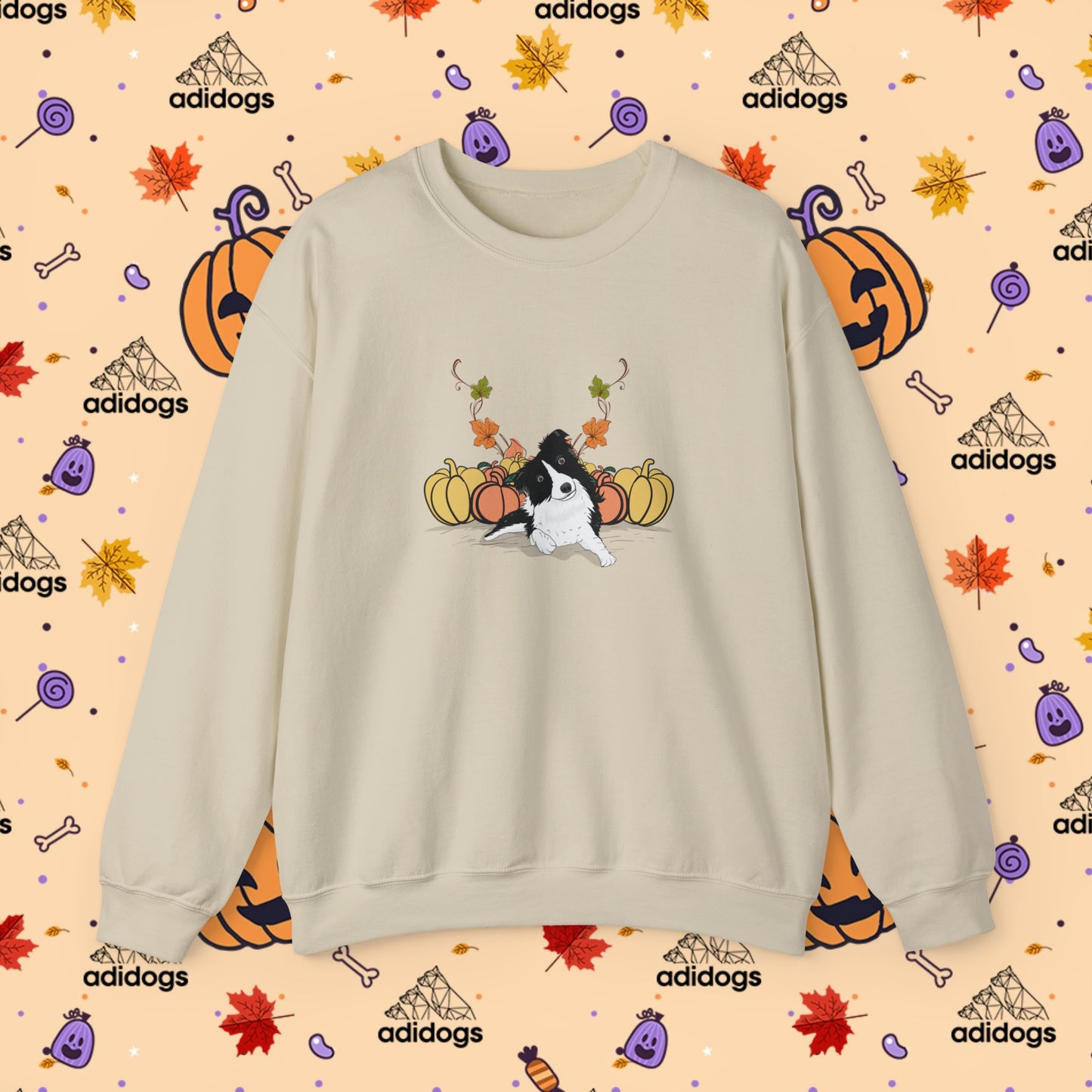 Border Collie Pumpkin Fall Sweatshirts