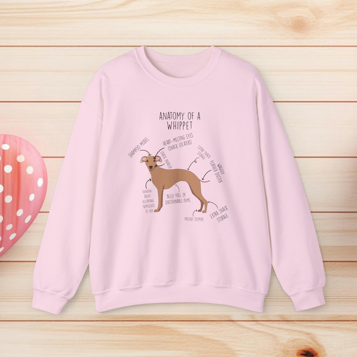 Anatomy Of A Whippet Shirts & Gifts