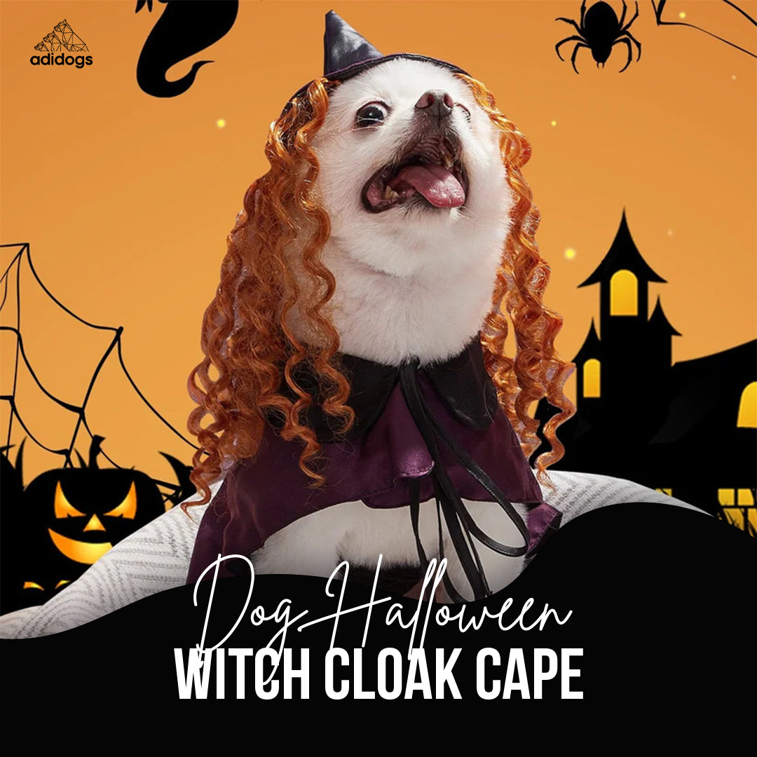 Dog Halloween Witch Cloak Cape