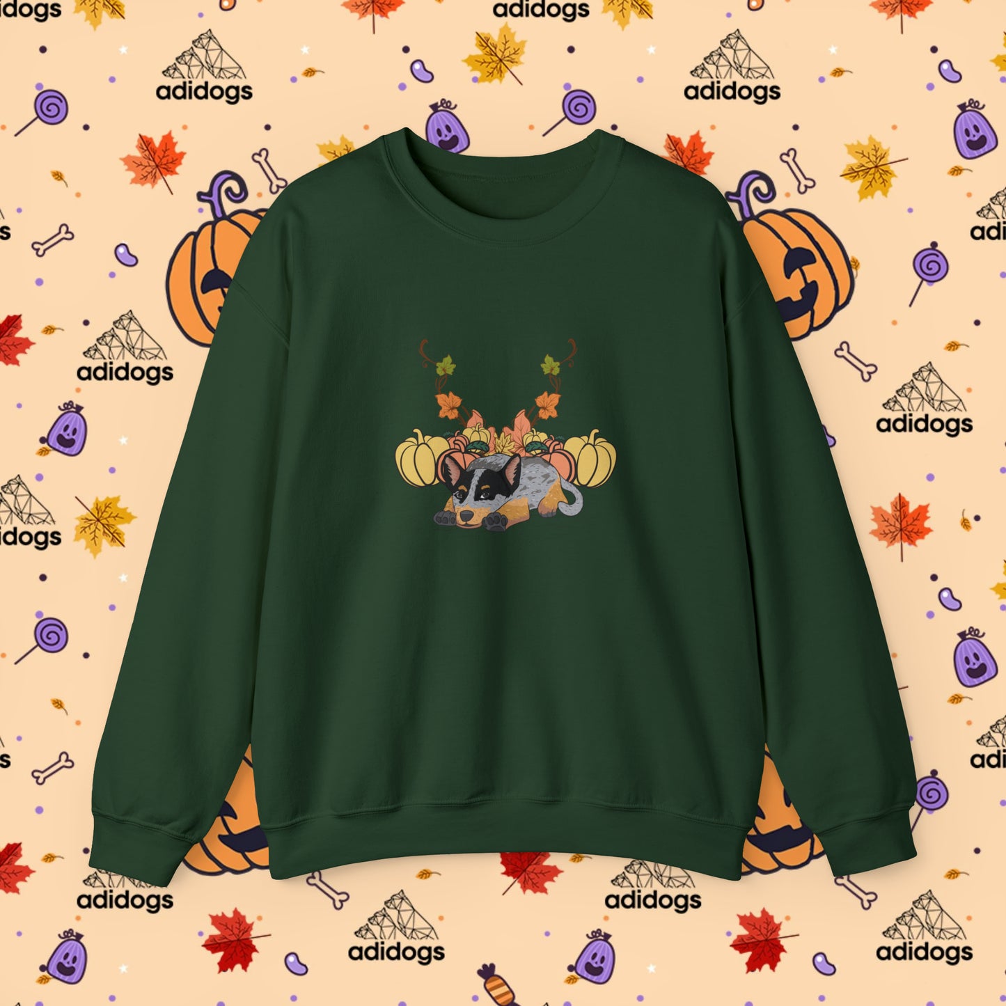 Blue Heeler Pumpkin Fall Sweatshirts