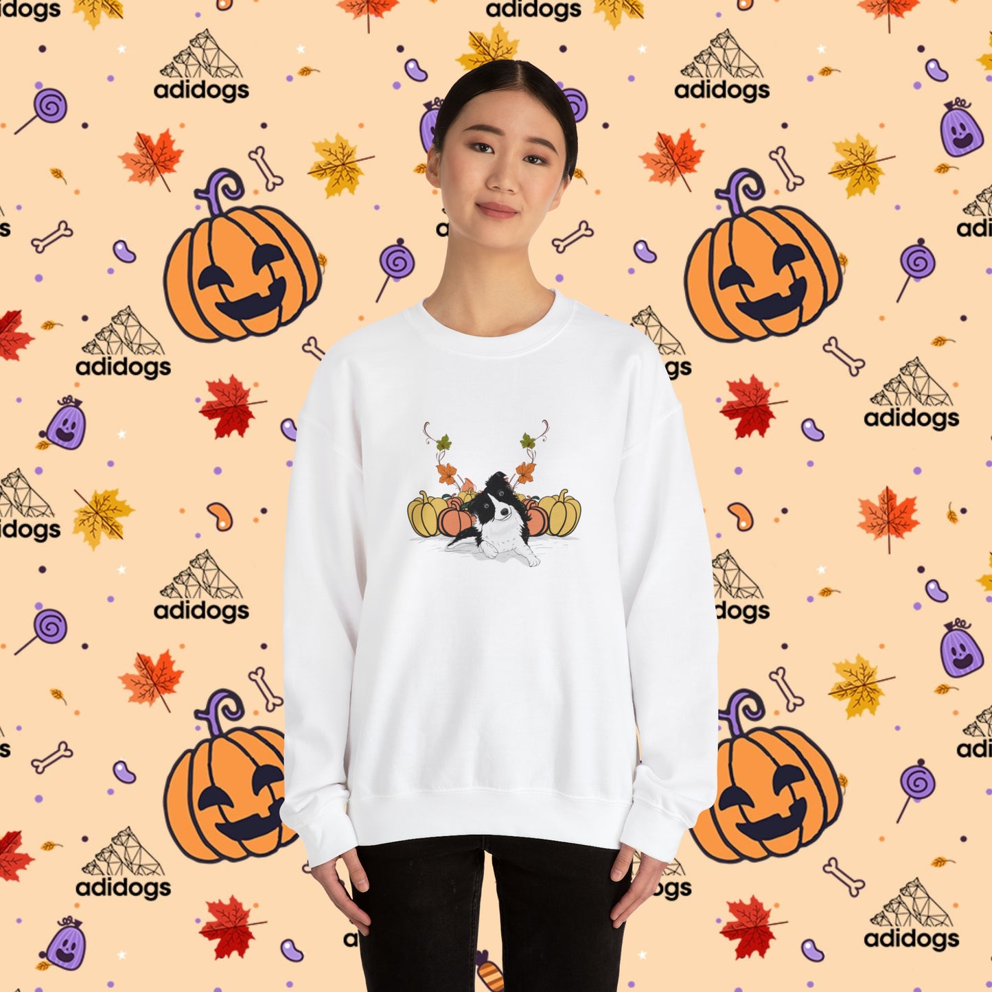 Border Collie Pumpkin Fall Sweatshirts