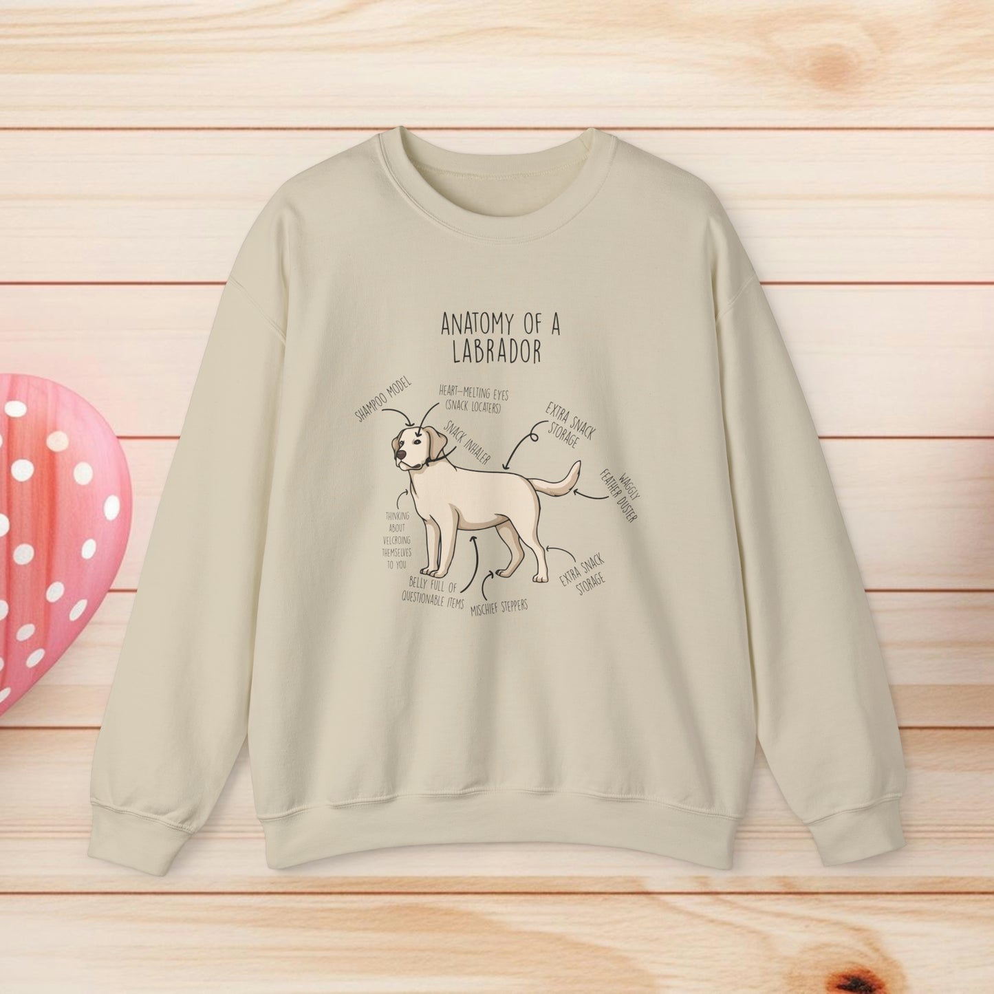 Anatomy Of A Labrador Shirts & Gifts