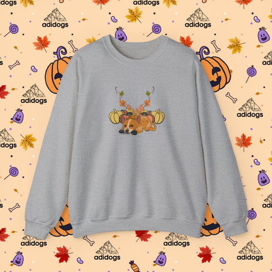 Blue Heeler Pumpkin Fall Sweatshirts