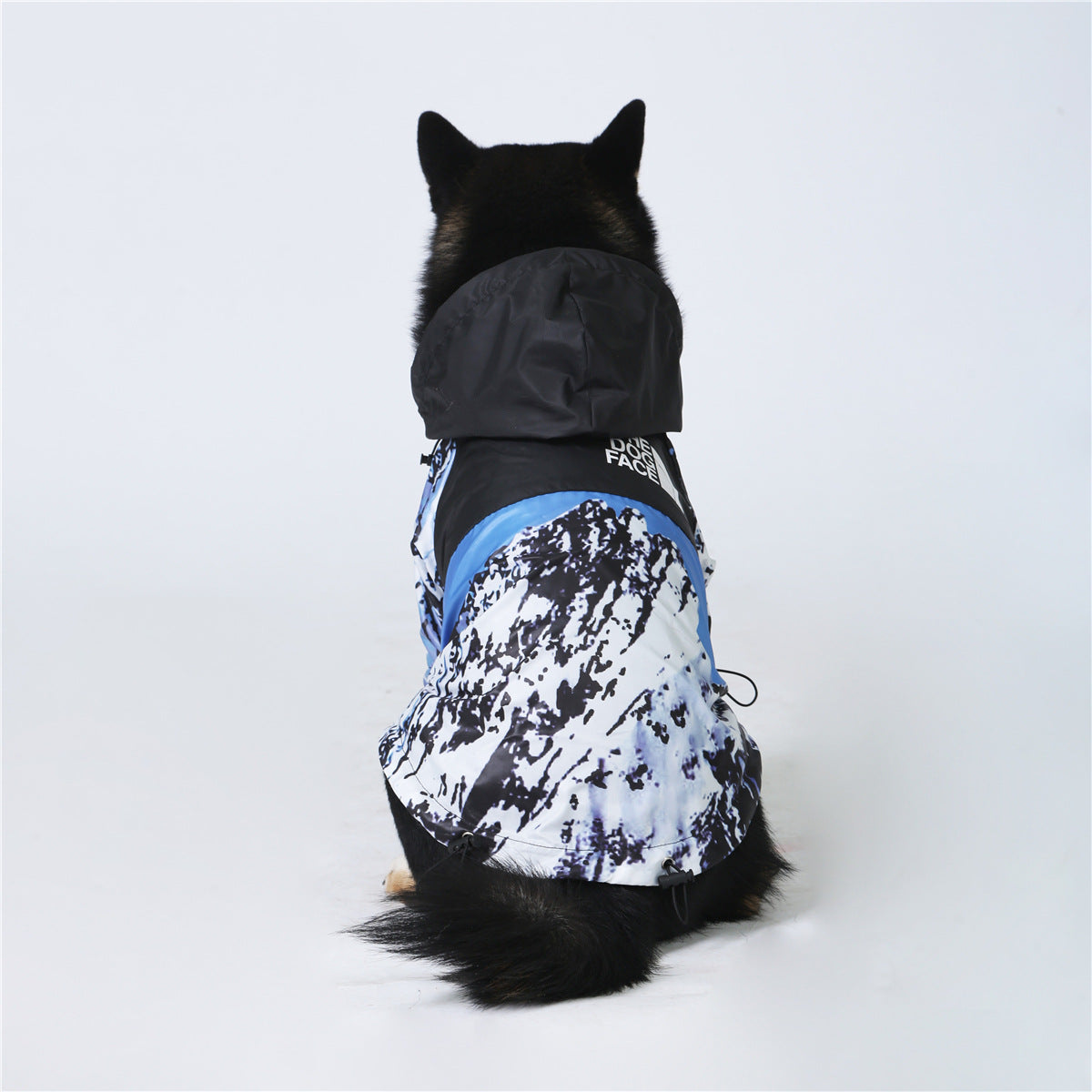 Classy Dog Windbreaker Jacket