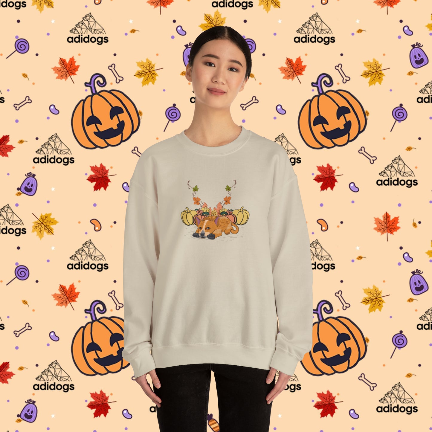 Blue Heeler Pumpkin Fall Sweatshirts