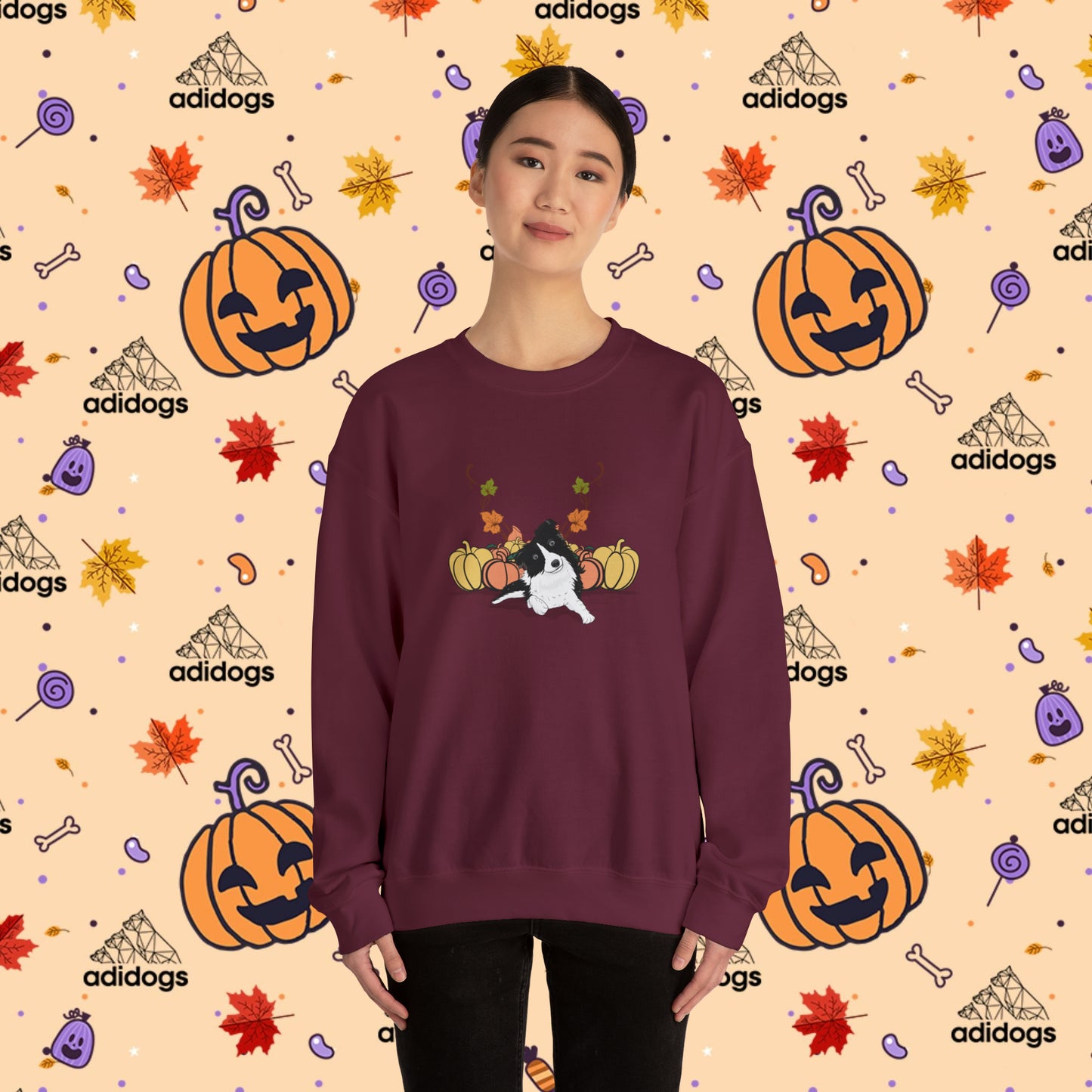 Border Collie Pumpkin Fall Sweatshirts