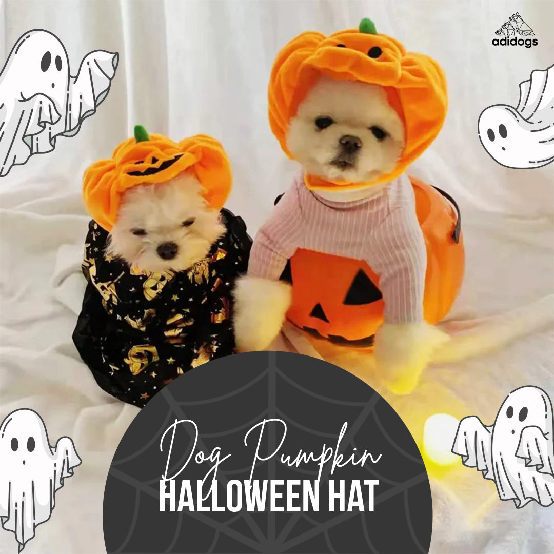 Dog Pumpkin Halloween Hat