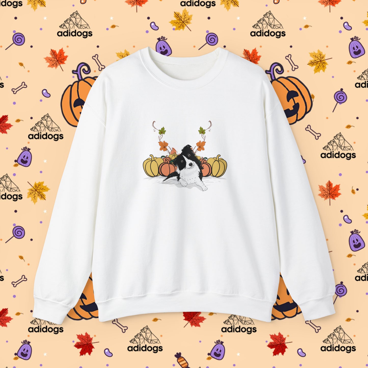 Border Collie Pumpkin Fall Sweatshirts