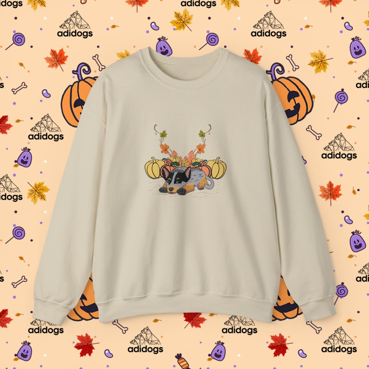 Blue Heeler Pumpkin Fall Sweatshirts