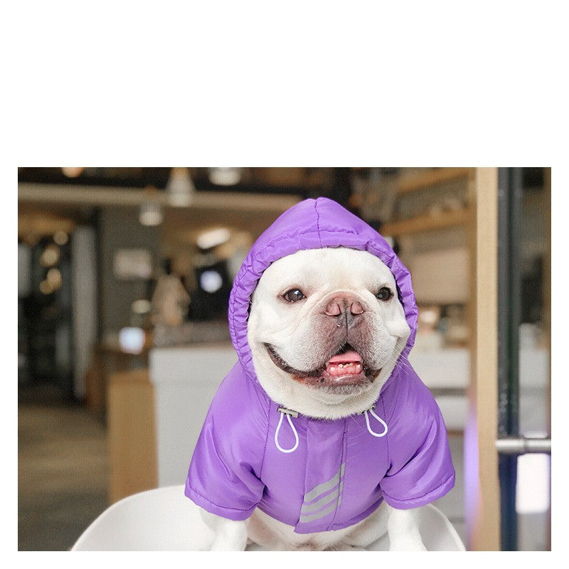 Westie Winter Jacket