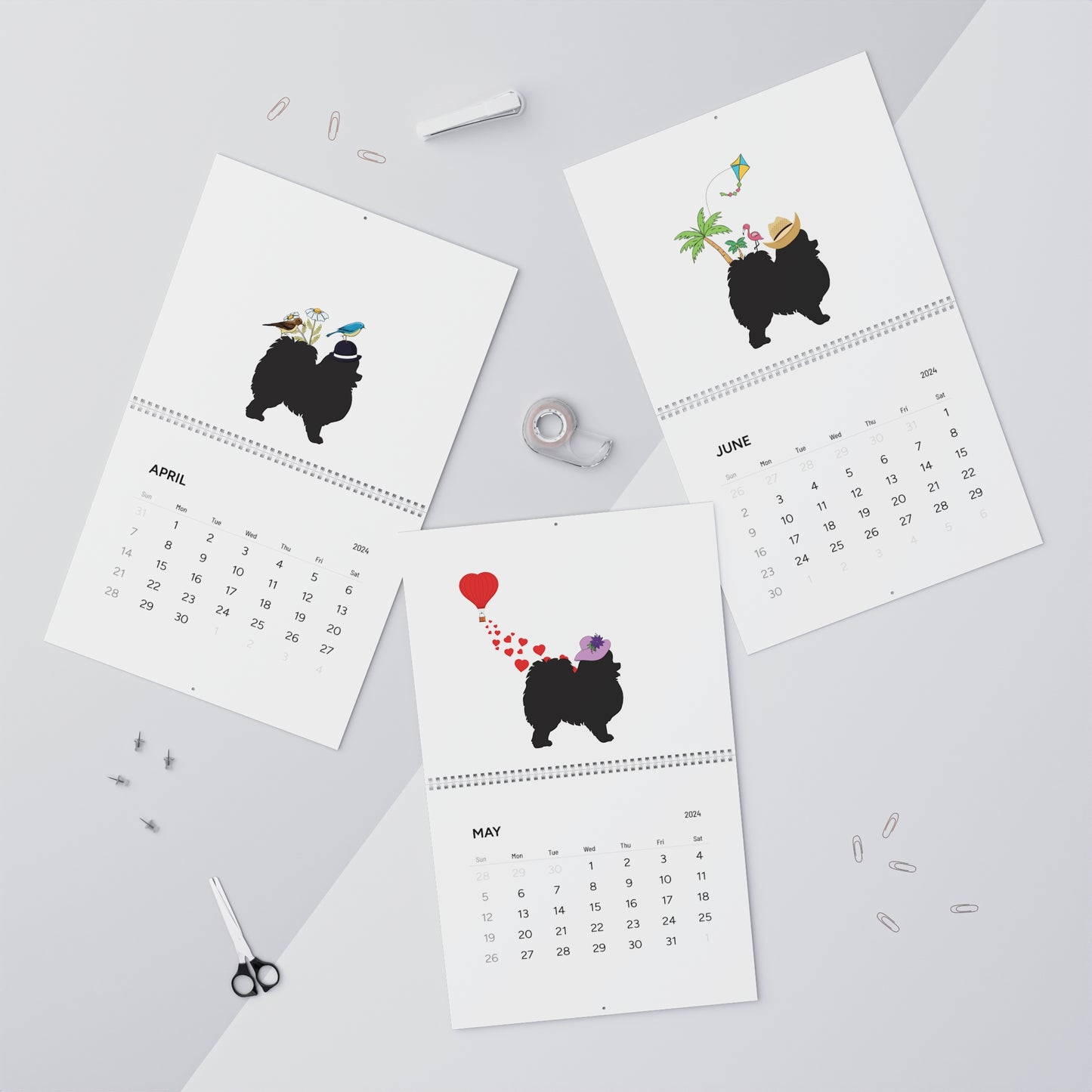 Pomeranian Wall Calendar 2024