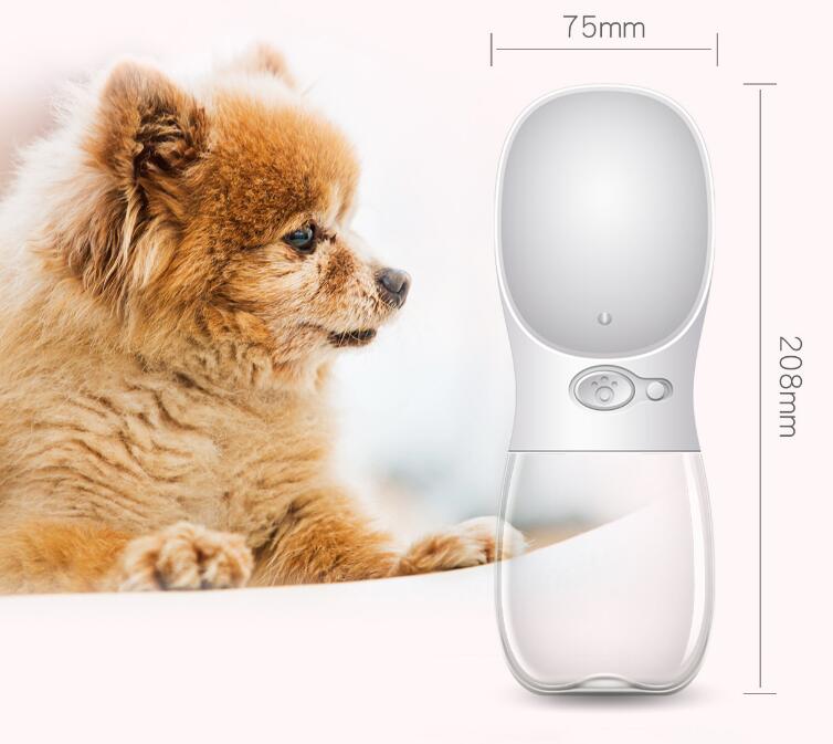 Pet Outdoor Water Bottle