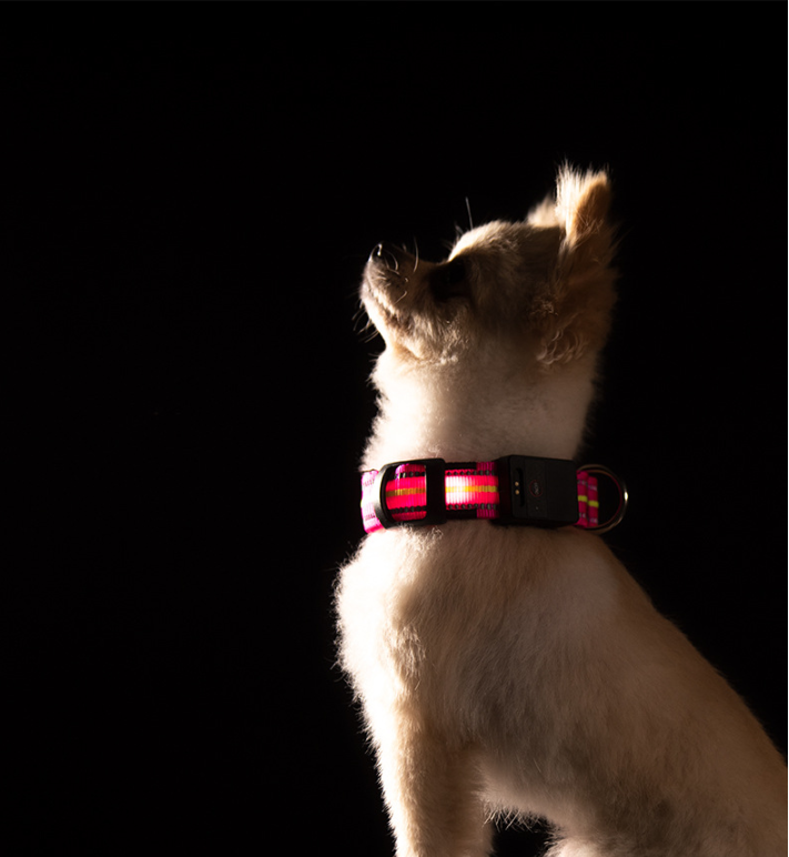 Waterproof Magnetic Charging Pet Collar