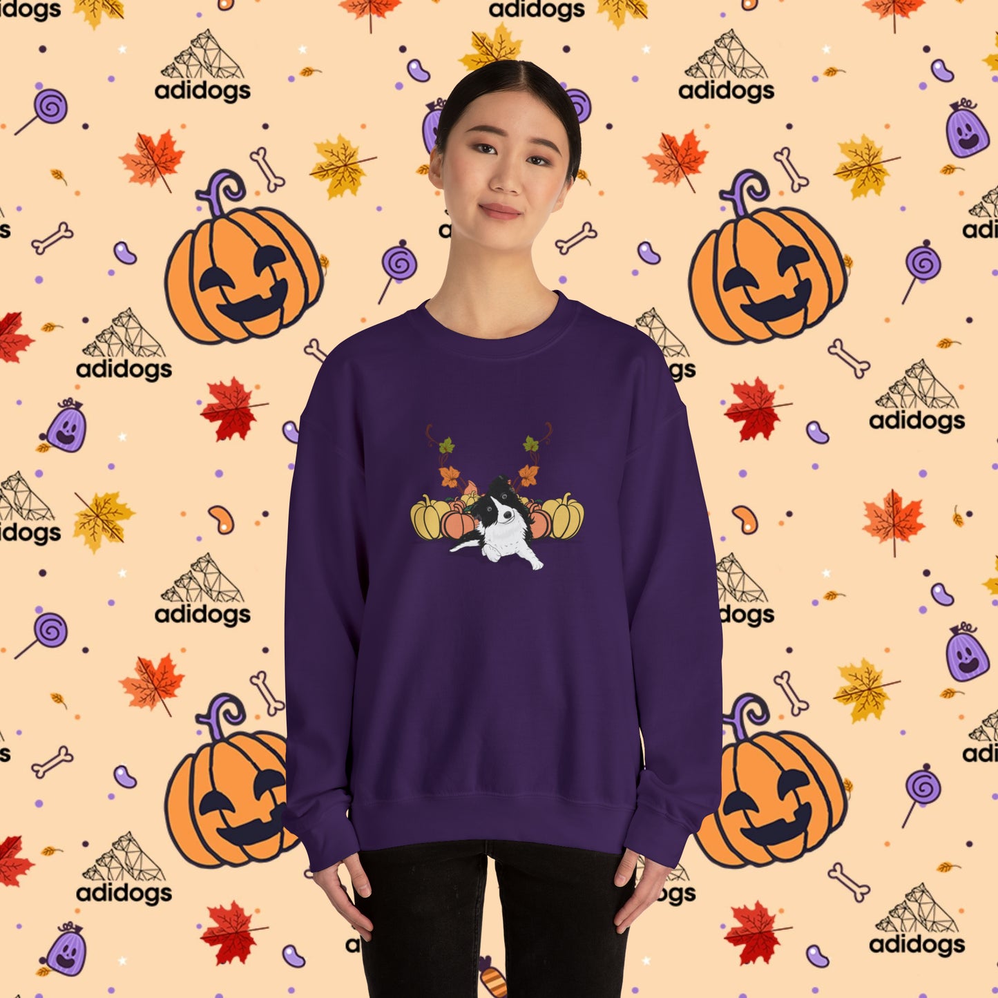 Border Collie Pumpkin Fall Sweatshirts