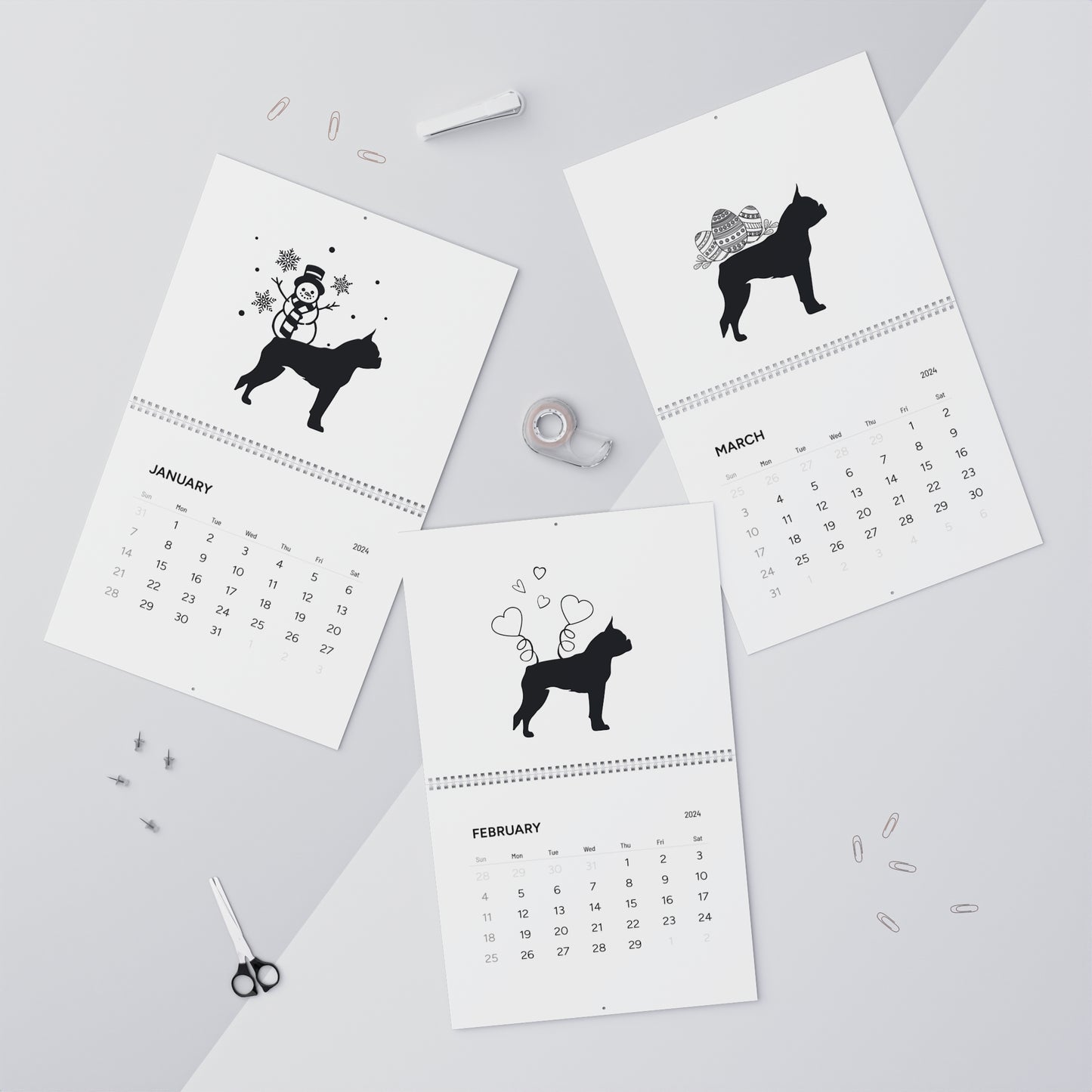 Boston Terrier Calendar 2024