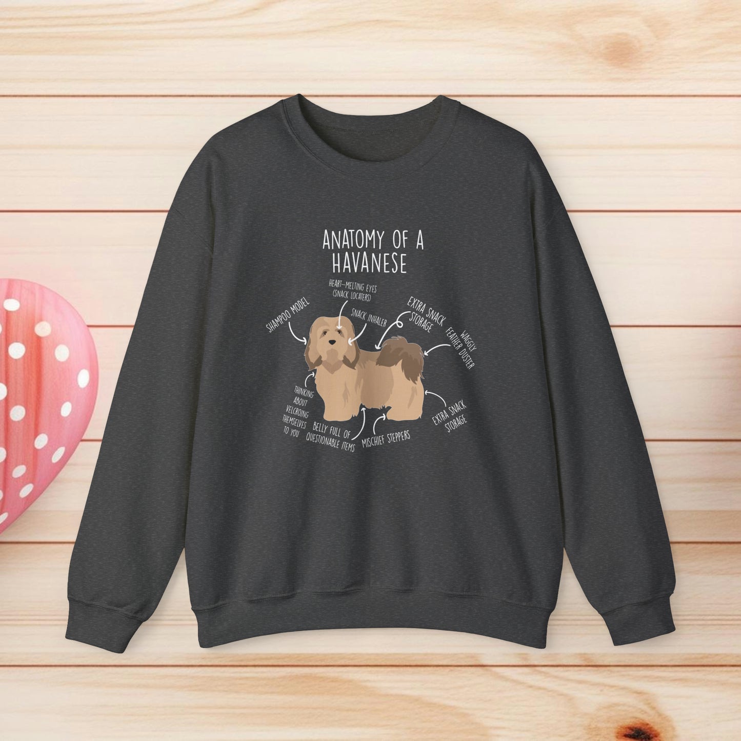 Anatomy Of A Havanese Shirts & Gifts