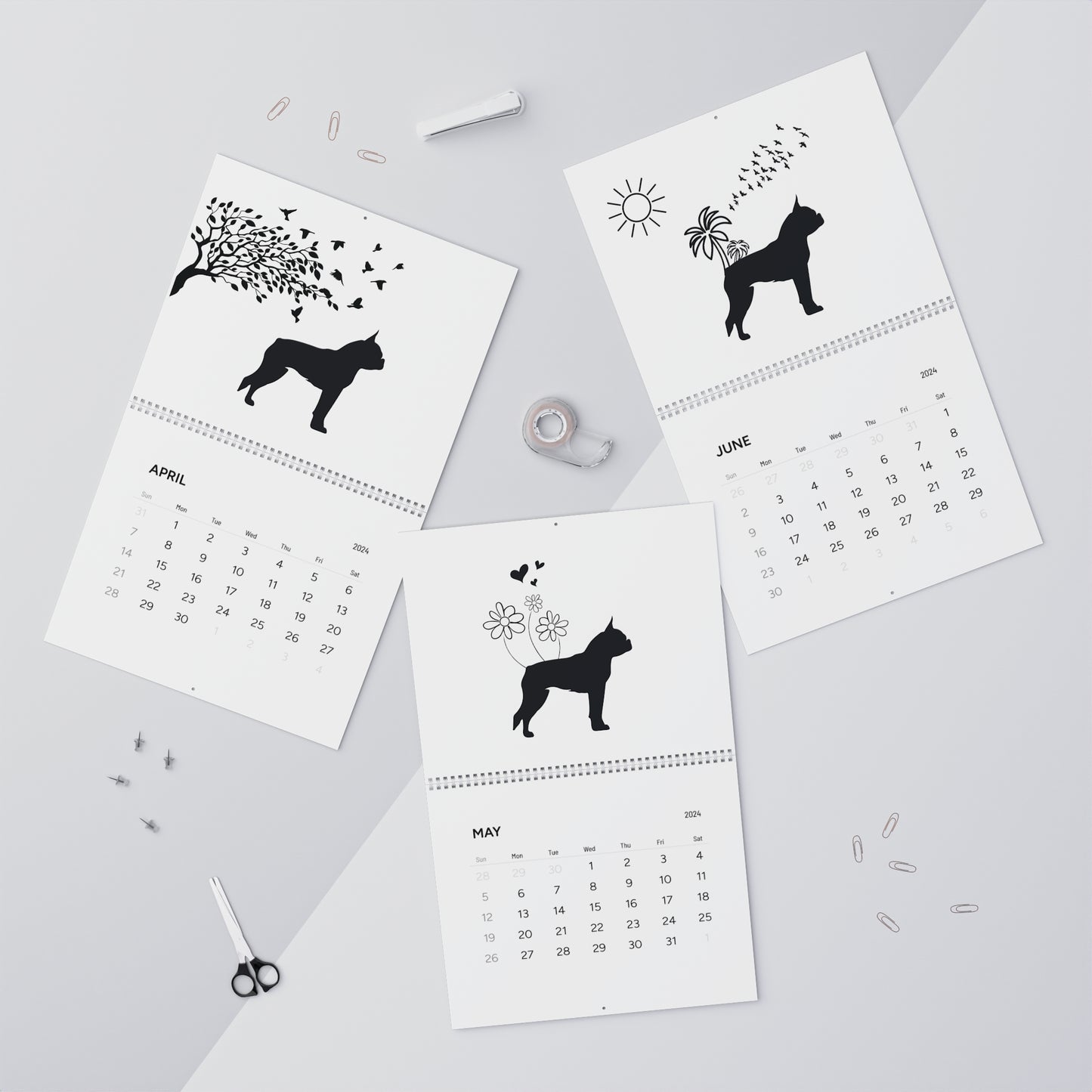 Boston Terrier Calendar 2024