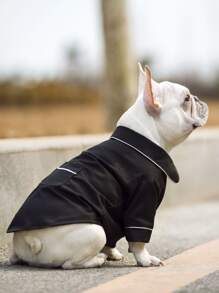 Frenchie Cozy Fashion Outfit