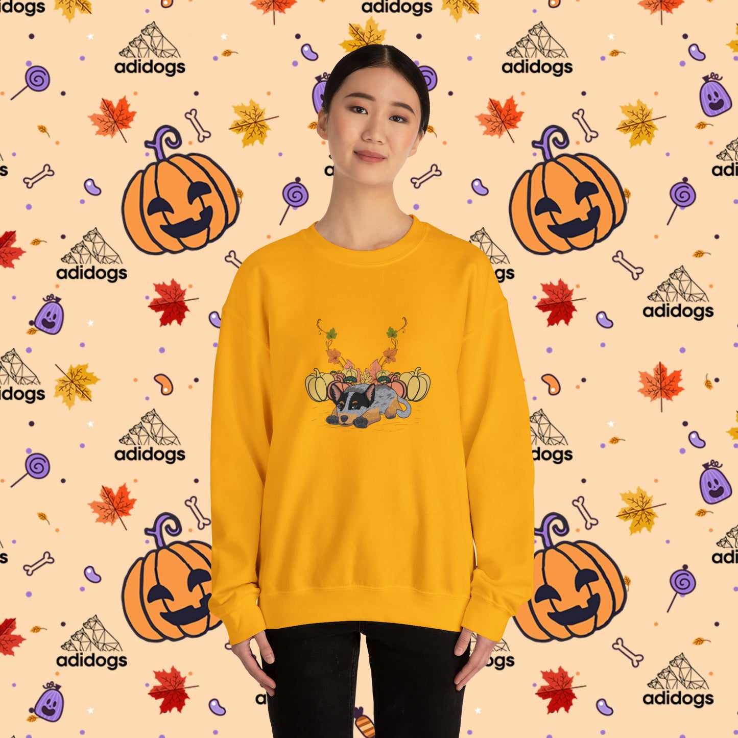 Blue Heeler Pumpkin Fall Sweatshirts