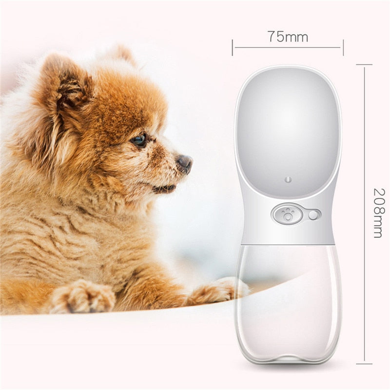 Pet Outdoor Water Bottle