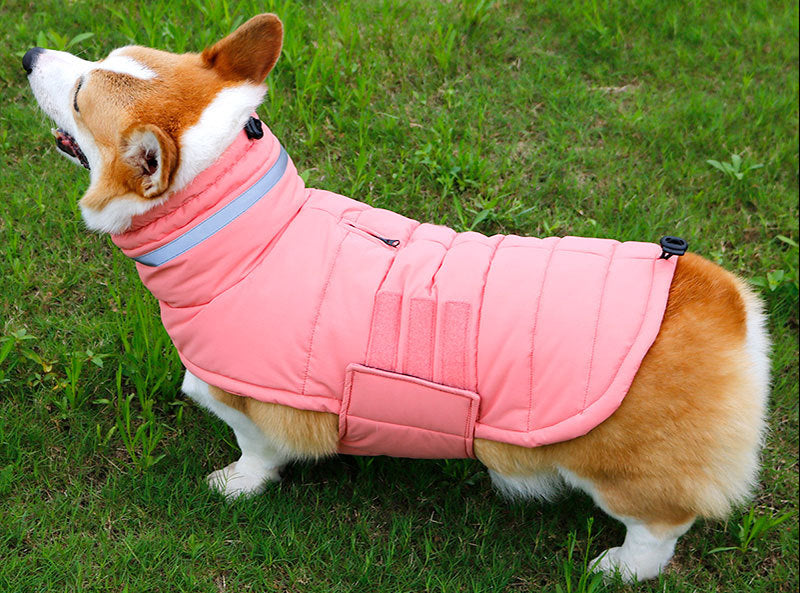 Waterproof Winter Dog Coat