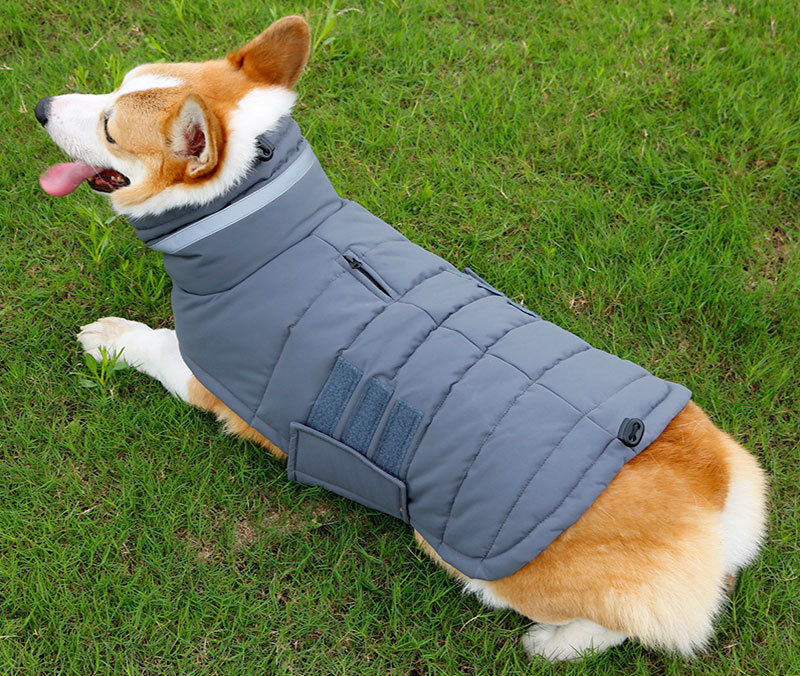 Waterproof Winter Dog Coat