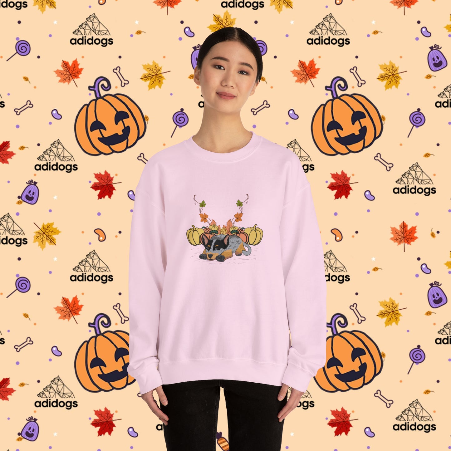 Blue Heeler Pumpkin Fall Sweatshirts