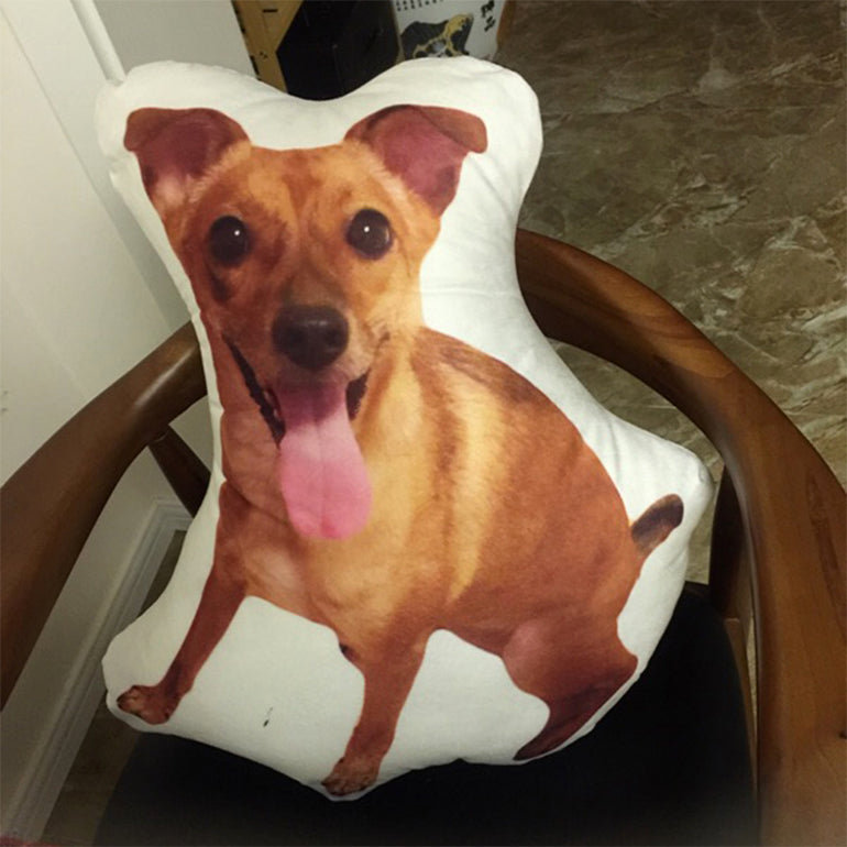 Custom Pet Pillow