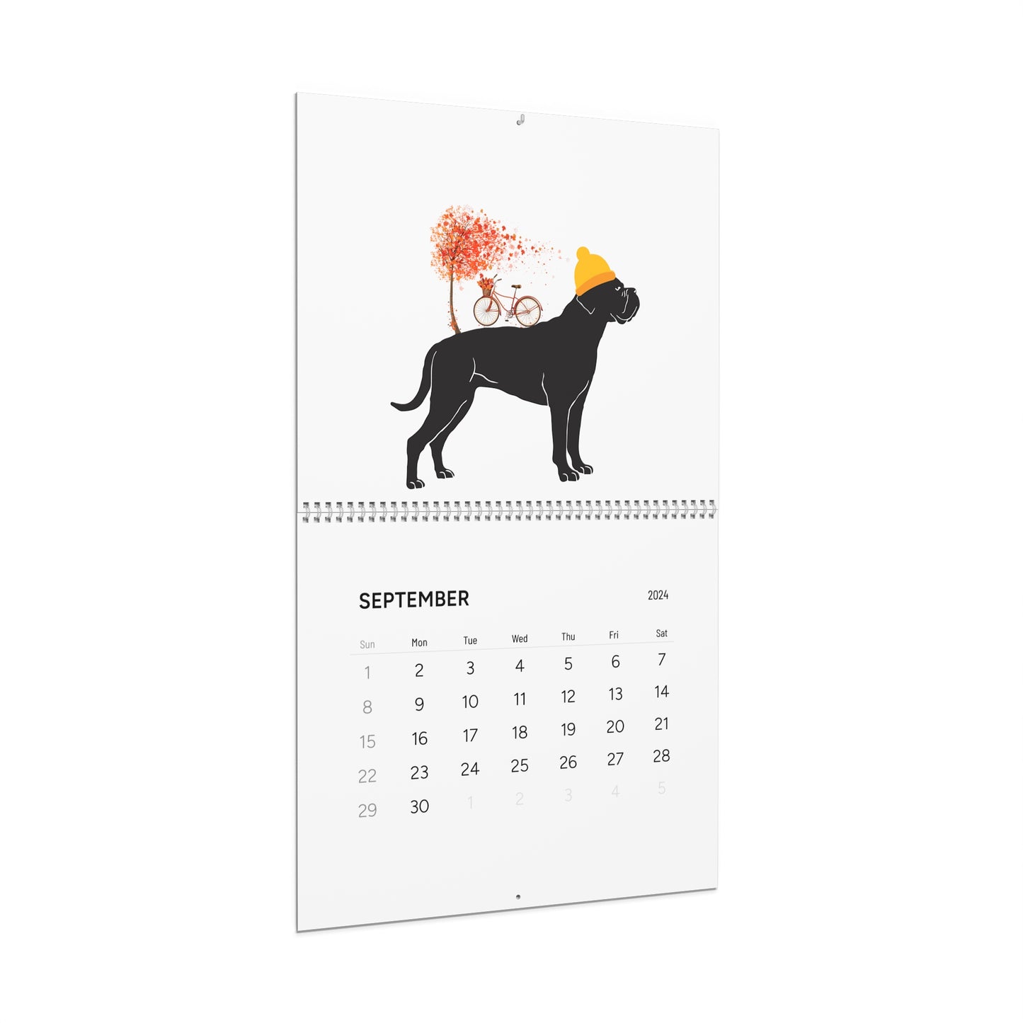 Cane Corso Wall Calendar 2024