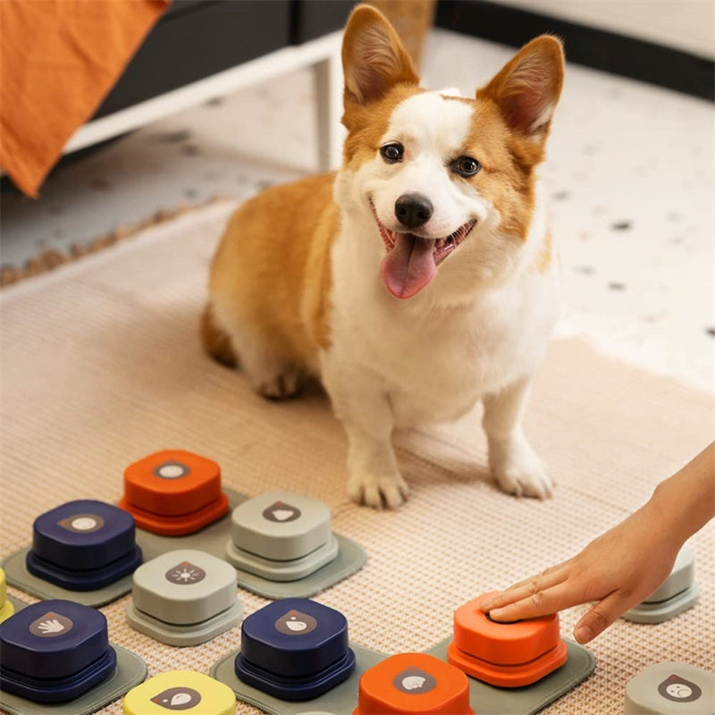 Dog Communication Button