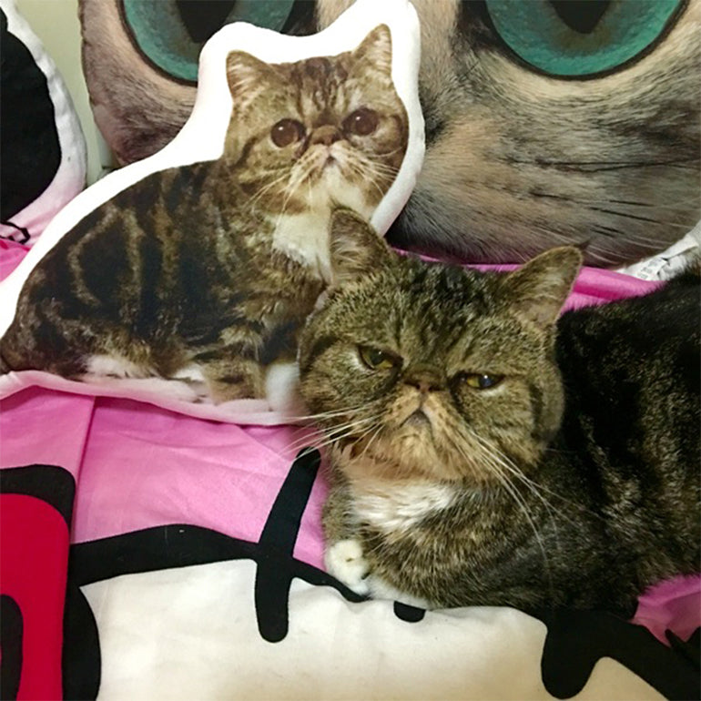 Custom Pet Pillow