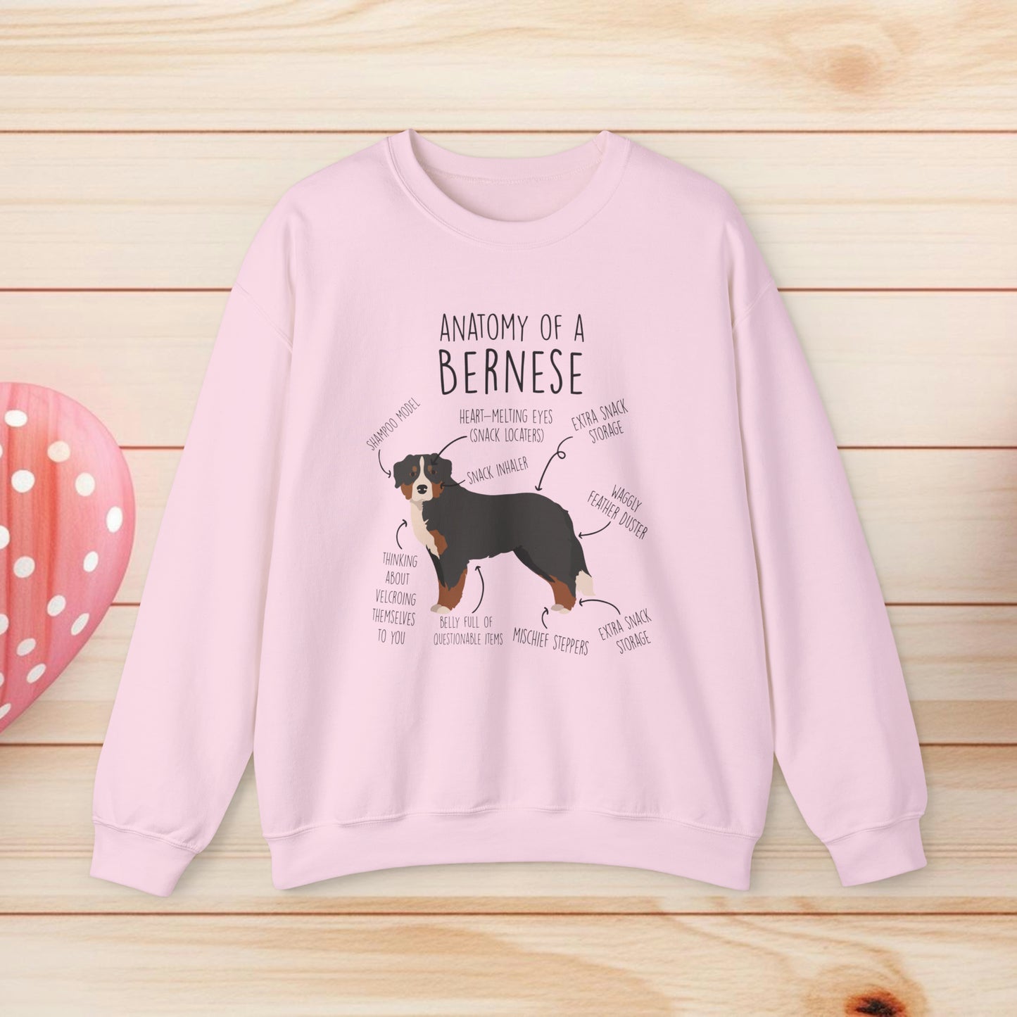 Anatomy Of A Bernese Shirts & Gifts