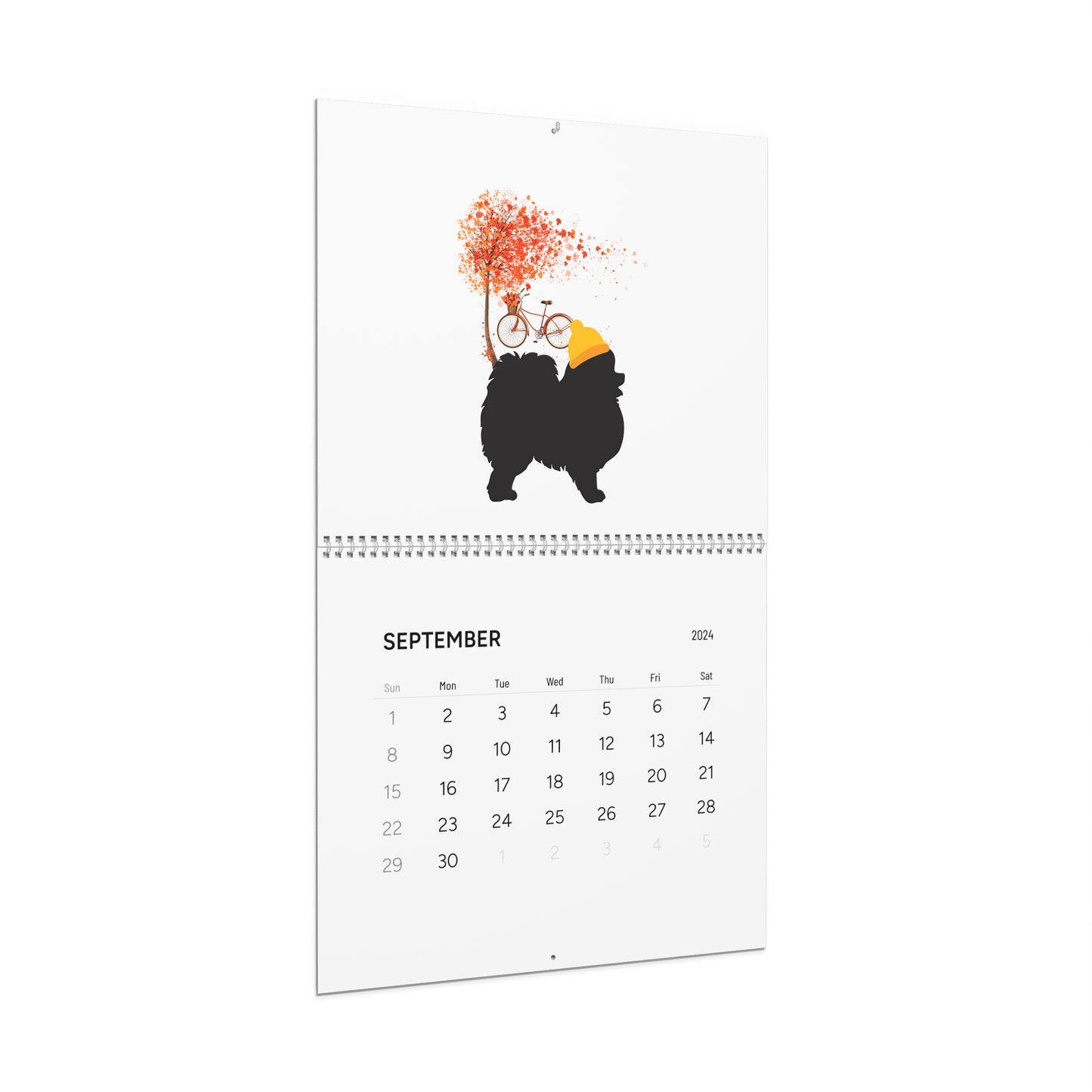 Pomeranian Wall Calendar 2024