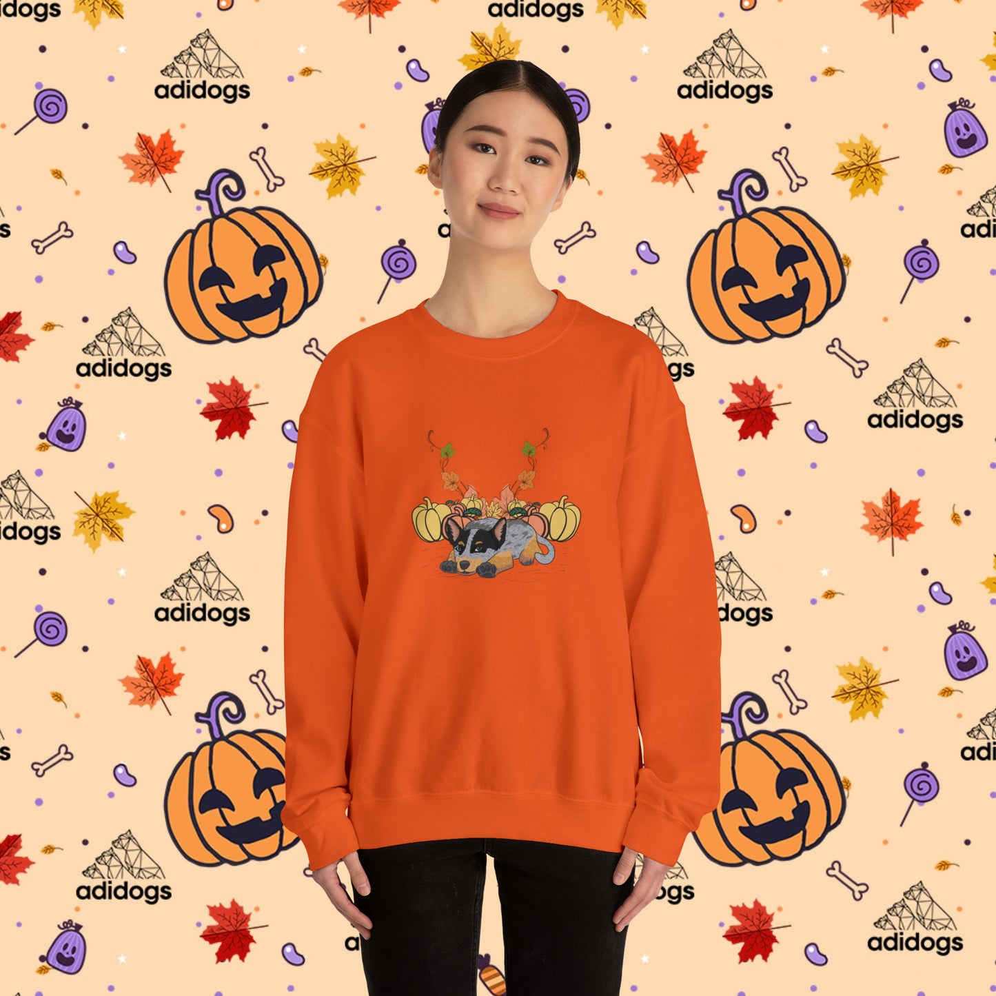 Blue Heeler Pumpkin Fall Sweatshirts