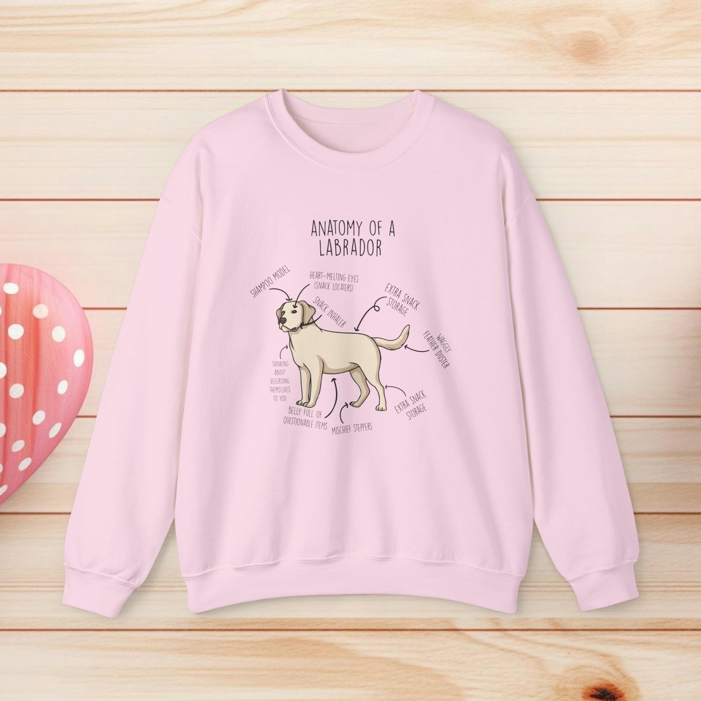 Anatomy Of A Labrador Shirts & Gifts