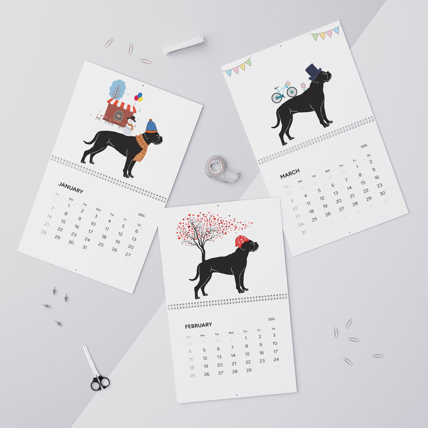 Cane Corso Wall Calendar 2024