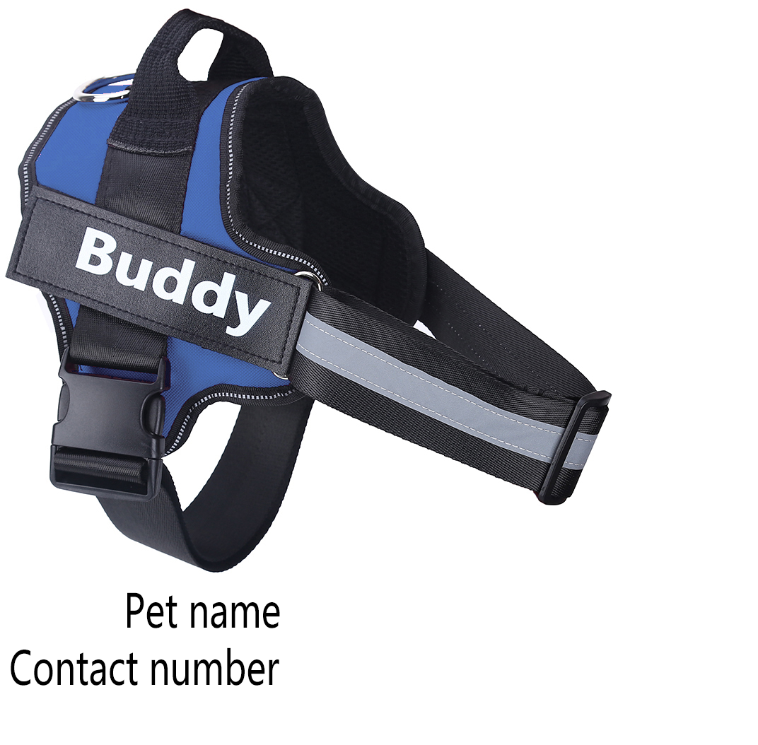 No Pull Dog Harness