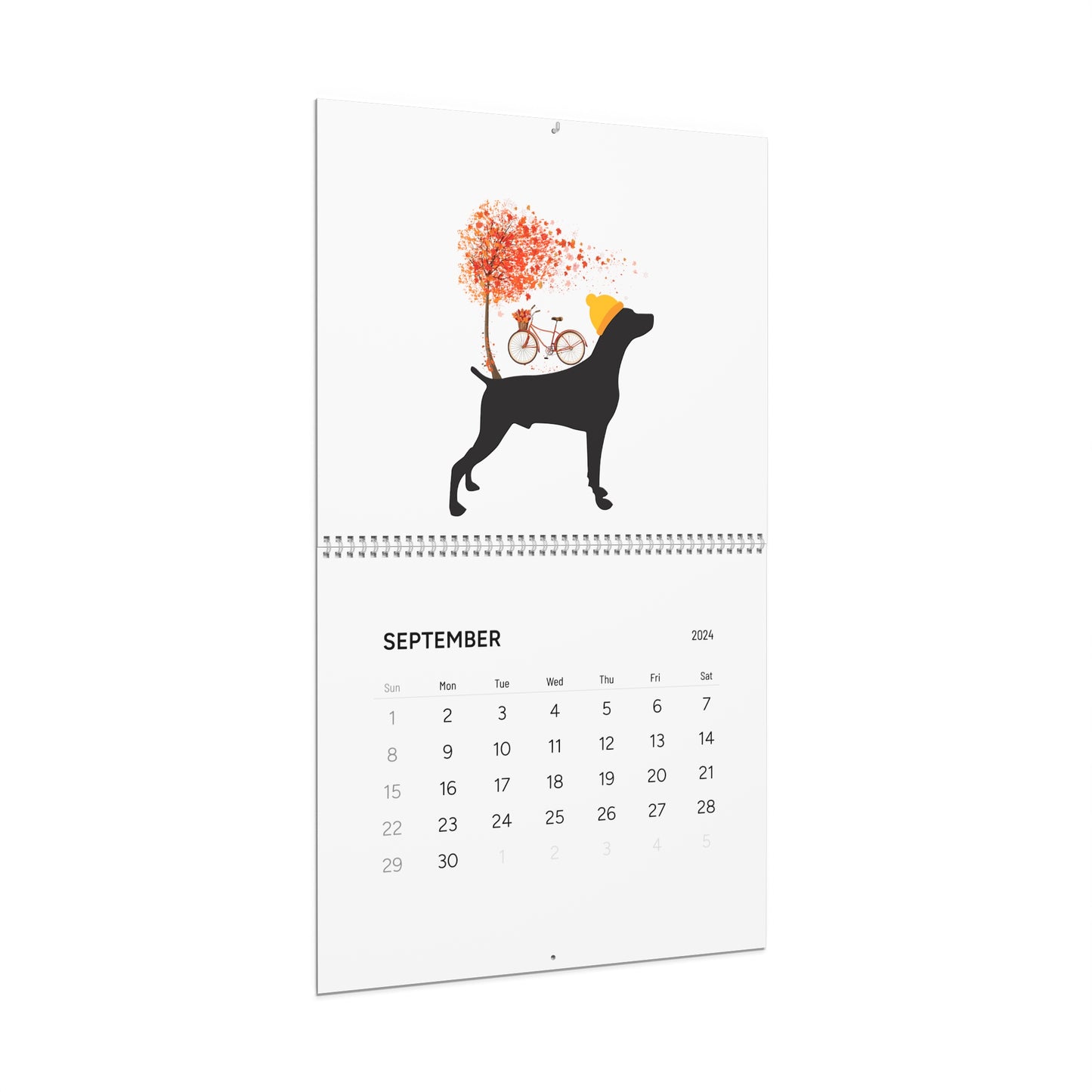 Weimaraner Wall Calendar 2024