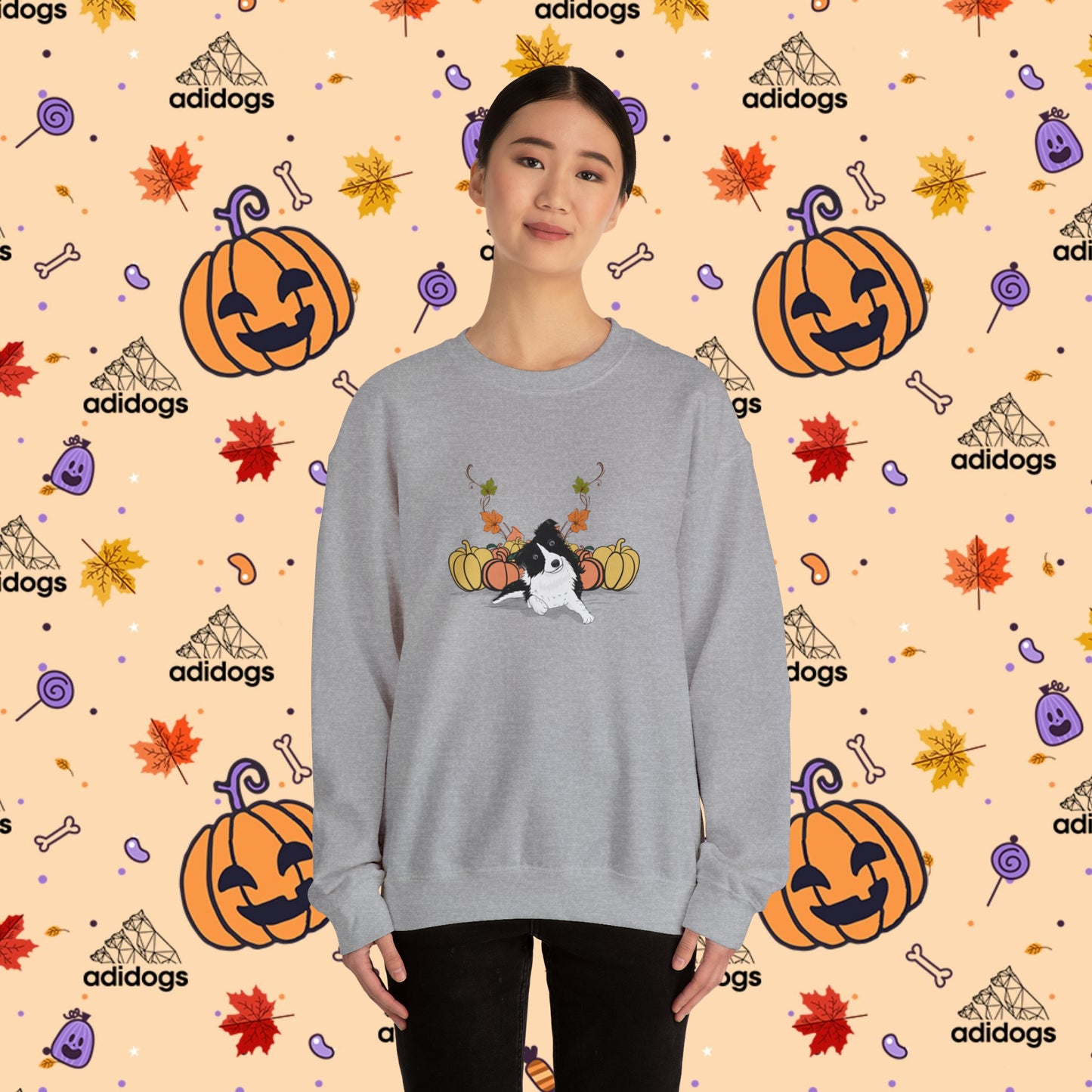 Border Collie Pumpkin Fall Sweatshirts