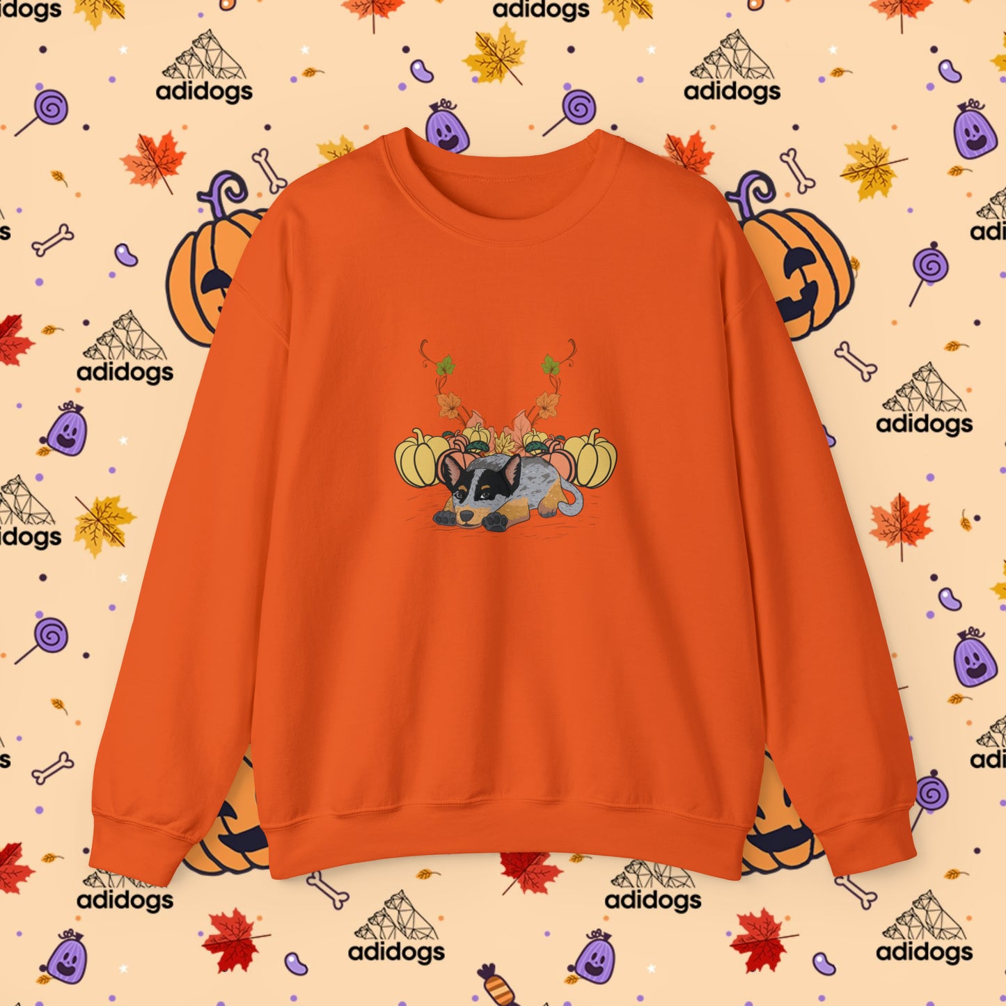 Blue Heeler Pumpkin Fall Sweatshirts