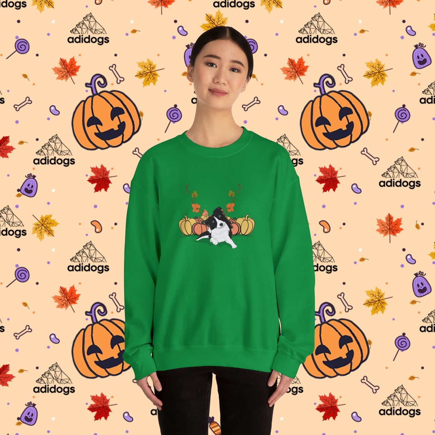 Border Collie Pumpkin Fall Sweatshirts