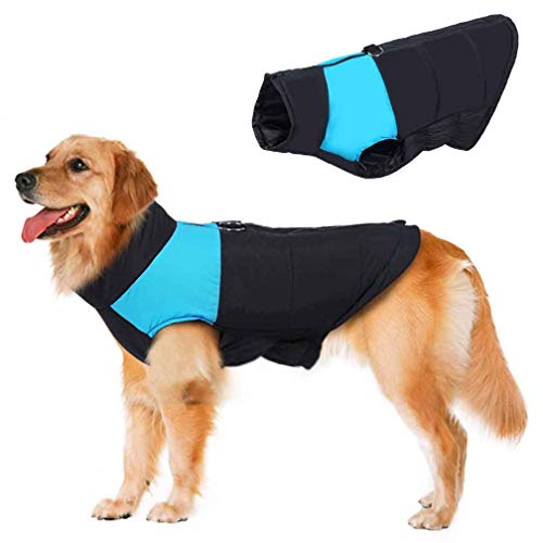 Golden Retriever Jackets For Winter