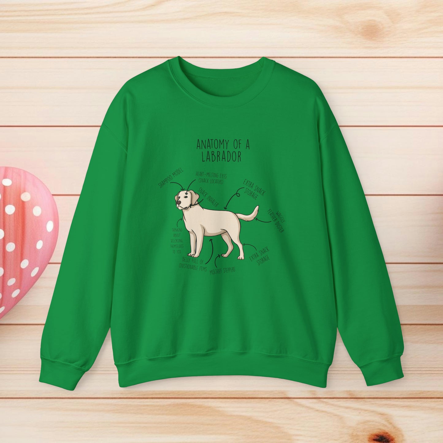 Anatomy Of A Labrador Shirts & Gifts