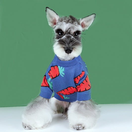 Cute Schnauzer Carrot Sweater