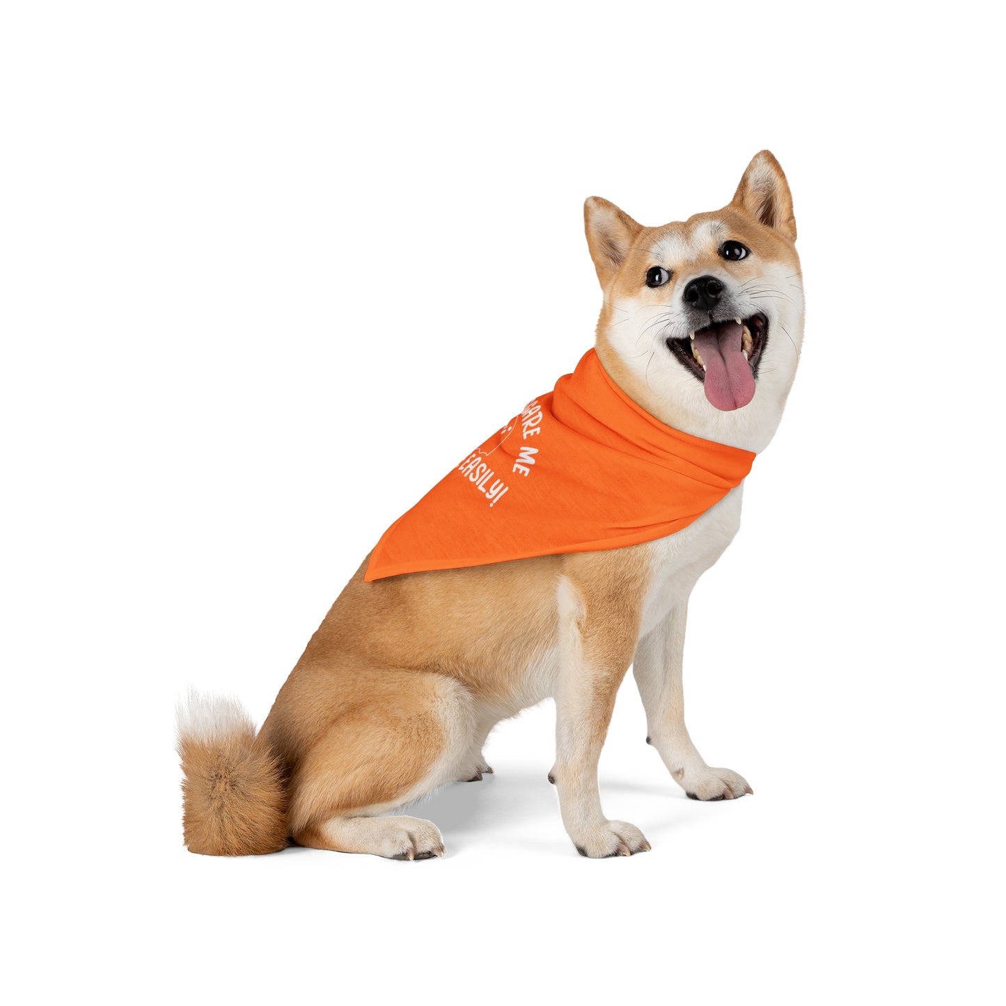 Funny Dog Bandana